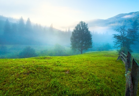 Misty daybreak in summer Carpathian mountain, Ukraine (with mist clouds).の写真素材