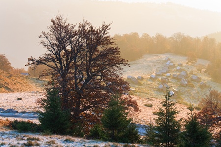 Autumn misty morning mountain view of cattle-breeding farm on plateau (Carpathian Mt's, Ukraine).の写真素材