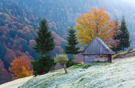 Carpathian Mountains (Ukraine) autumn landscape with cattle-breeding farm