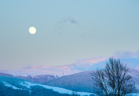 winter sunset mountain landscape with rime and snow covered forest and Moon on sky (Carpathian, Ukraine)の写真素材