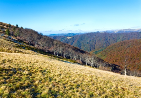 Autumn mountains  with a stark bare trees on forest edge in front (Carpathian, Ukraine).の写真素材