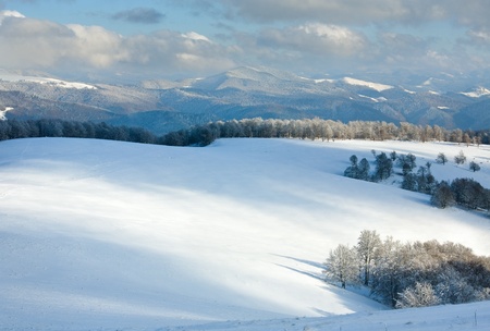 October mountain beech forest edge with first winter snow の写真素材