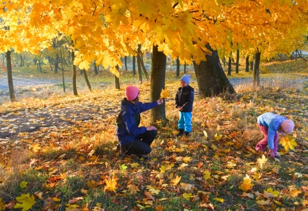 Happy family (mother with small children) walking in golden maple autumn parkの写真素材