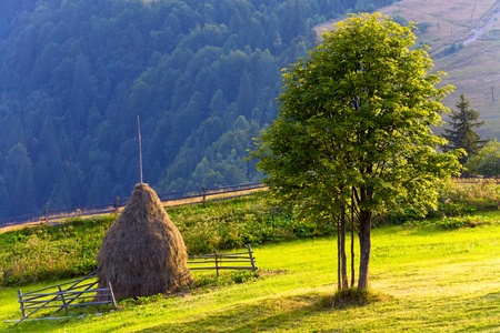 Summer mountain landscape with haystack and lonely treeの写真素材