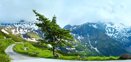 Tranquil summer Alps mountain panorama with lonely pine tree. Two shots composite picture.の写真素材