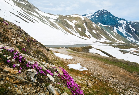 Tranquil summer Alps mountain (view from Grossglockner High Alpine Road)の写真素材