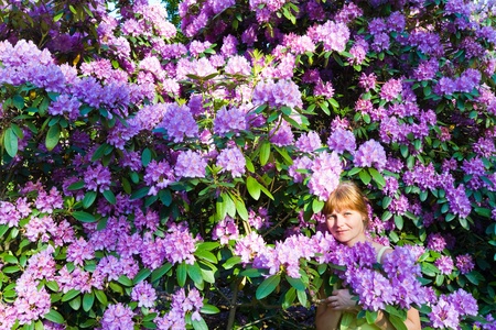 Woman near blossoming bush with pink flowers . Summer landscape.の写真素材