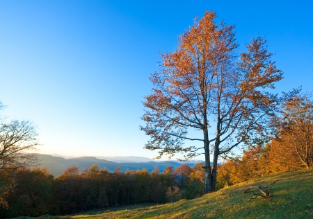 Autumn evening  landscape with lust sunlight on mountains and evening glow in skyの写真素材