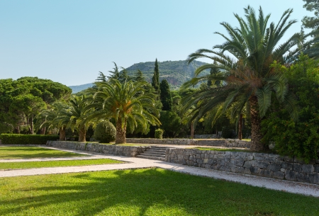 A beautiful summer park with palm trees morning view near Villa Milocher (Montenegro, Budva)の写真素材