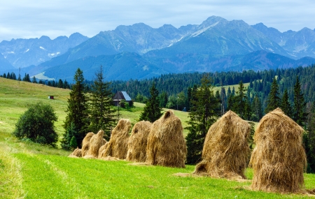 Summer mountain village outskirts with haystacks and Tatra range behind (Poland)の写真素材
