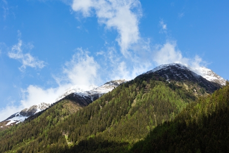 Summer mountain landscape with fir forest on slope  Silvretta Alps, Austria  の写真素材