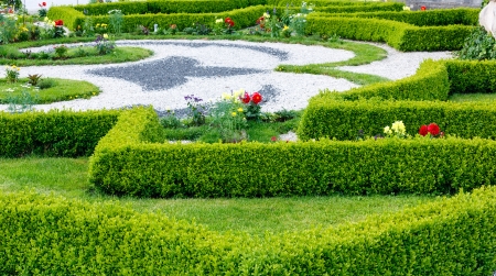 Summer lawn with flowers in city parkの写真素材