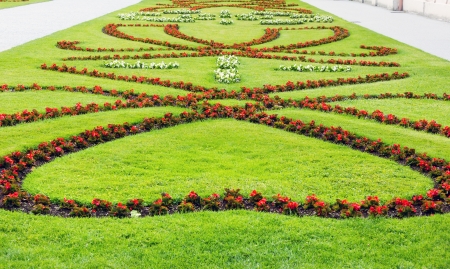 Blossoming red flower on lawn in summer city parkの写真素材