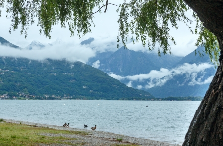 Lake Como (Italy) summer cloudy view with wild duck on shore.の写真素材