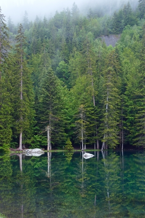 Small mountain forest lake in France Alps (misty summer morning).の写真素材