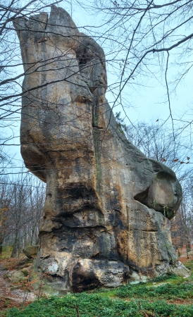 Large lofty stone in autumn forest  ( "Skeli Dovbusha" , Ivano-Frankovsk Region, Ukraine)の写真素材