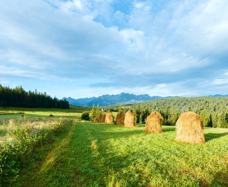 Summer mountain village outskirts with haystacks and Tatra range behind (Poland)の写真素材