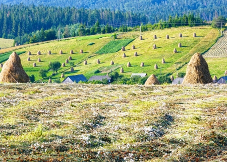 Summer mountain village outskirts with haystacks on field (Carpathian, Ukraine)の写真素材