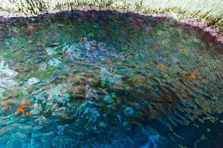 Colorful bottom inside Blue Caves (Zakynthos, Greece, Cape Skinari )の写真素材