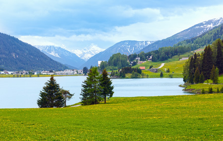 Summer country landscape with Davos Lake and dandelion meadow (Switzerland).の写真素材