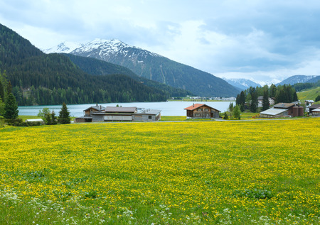 Summer country landscape with Davos Lake and dandelion meadow (Switzerland).の写真素材
