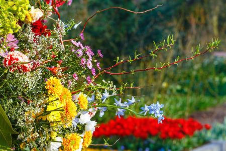 Big multicolor wonderful flowers bouquet on spring park