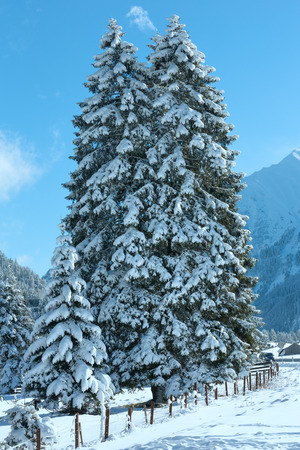 Winter mountain landscape with fir trees (Heiterwang outskirts, Austria, Tirol)の写真素材