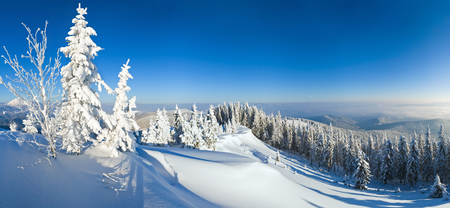 Winter calm mountain snowy landscape (Carpathian, Ukraine).の写真素材