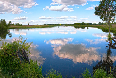 Summer evening rushy lake panorama view with clouds reflections.の写真素材