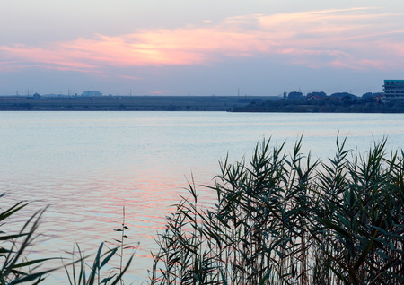 Evening lake scenery with reeds in front and sun reflection on water surface .の写真素材