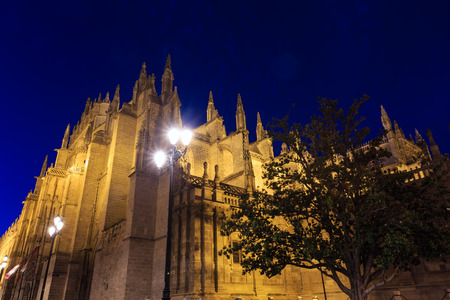 Seville Cathedral (or Cathedral of Saint Mary of the See) night scene. Build in 1402-1506.の写真素材