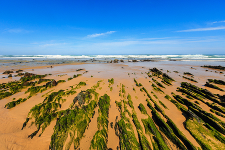 Rock formations on sandy beach (Algarve, Costa Vicentina, Portugal).の写真素材