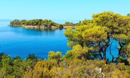Morning summer Aegean Sea with pine trees on shore and small beaches, Sithonia (near Ag. Kiriaki), Halkidiki, Greece.の写真素材