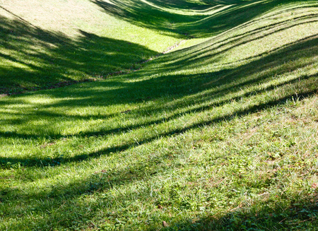 Perfect green grass lawn on landscape designed summer park hollow. Striped shadows on curved meadow surface of grass lawn.の写真素材