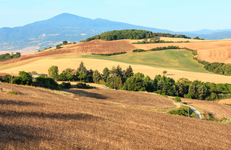 Beautiful landscape of summer morning countryside in Montepulciano region (Italy).の写真素材