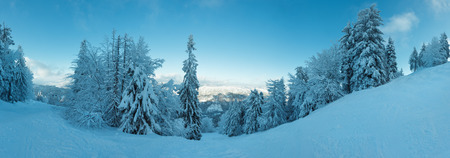 The first shadows of setting sun on winter mountain slopes (Skole Beskids, Lviv Oblast, Carpathians, Ukraine). Seven shots stitch high-resolution panorama.の写真素材