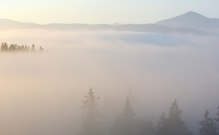 Morning fog on the slopes of the Carpathian Mountains (Ivano-Frankivsk oblast, Ukraine). View on Chornohora.の写真素材