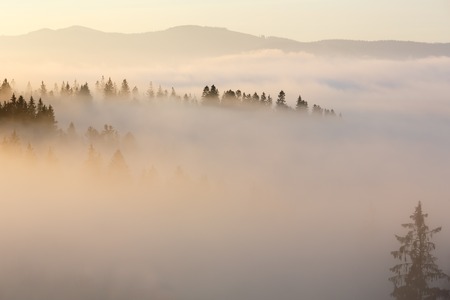 Morning fog on slopes of the Carpathian Mountains (Ivano-Frankivsk oblast, Ukraine). View on Chornohora ridge.の写真素材