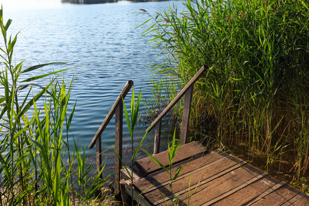 Picturesque summer morning lake calm beach with wooden stairs to the water. Concept of tranquil country life, eco friendly tourism, camping, fishing.の写真素材