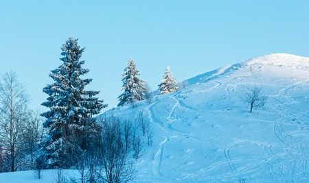 Early morning winter calm mountain landscape with beautiful frosting trees in mountains shadows and ski slope (Carpathian Mountains, Ukraine)の写真素材