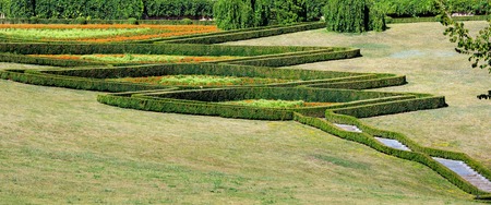 Summer trimmed evergreen boxwood in park hillside. Composition from plants on a green grass lawn. Sofiyivka Dendrology Park, Uman, Ukraine.の写真素材