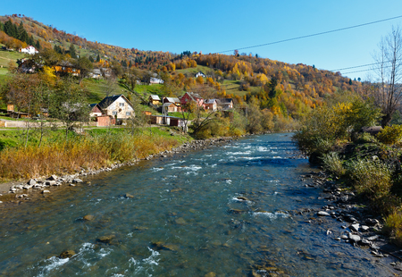 Autumn Carpathian mountain White Tysa river landscape with multicolored yellow-orange-red-brown trees on slope and river in mountain gorge (Transcarpathia, Ukraine).の写真素材