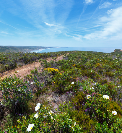 Summer blossoming Atlantic coast view, Algarve west, Costa Vicentina, Portugal. Two shots stitch image.の写真素材