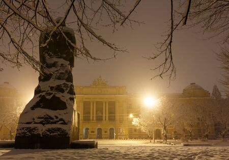 LVIV, UKRAINE - NOVEMBER 13, 2016:  Ivan Franko monument and National University of Lviv main building . Beautiful night winter cityscape in the center of Lviv city. Some lens flare flrom lamps available.のeditorial素材