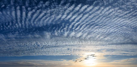 Summer evening sunset sky panorama with fleece and spindrift clouds and sunshine background. Big seagull birds in sky. Two shots stitch image.の写真素材
