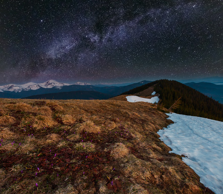 Night spring Carpathian mountains landscape and starry Milky Way in sky, Ukraine, Europe.の写真素材