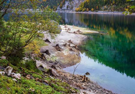 Tree stumps after deforestation near Gosauseen or Vorderer Gosausee lake, Upper Austria. Colorful autumn alpine view of mountain lake with clear transparent water and reflections.の写真素材