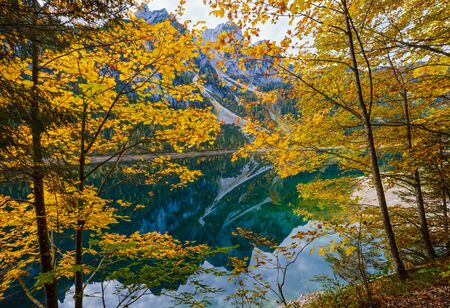 Sunny idyllic colorful autumn alpine view. Peaceful mountain lake with clear transparent water and reflections. Gosauseen or Vorderer Gosausee lake, Upper Austria. Dachstein summit and glacier in far.の写真素材