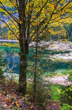 Sunny idyllic colorful autumn alpine view. Peaceful mountain lake with clear transparent water and reflections. Gosauseen or Vorderer Gosausee lake, Upper Austria.の写真素材