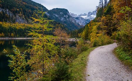 Gosauseen or Vorderer Gosausee lake, Upper Austria. Colorful autumn alpine view of mountain lake with clear transparent water and reflections. Dachstein summit and glacier in far.の写真素材